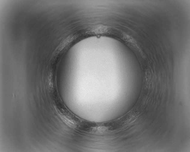 X0000060550212200511171547