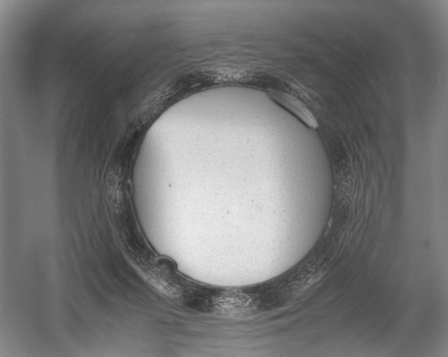 X0000060550215200511171547