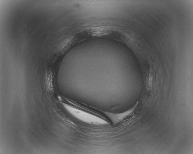 X0000060550219200511171547