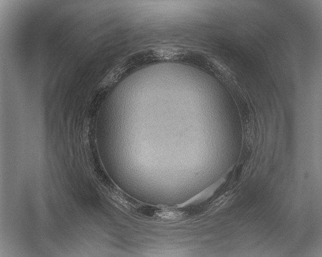 X0000060550221200511171547