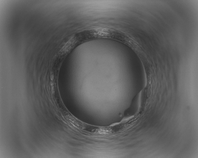 X0000060550223200511171547