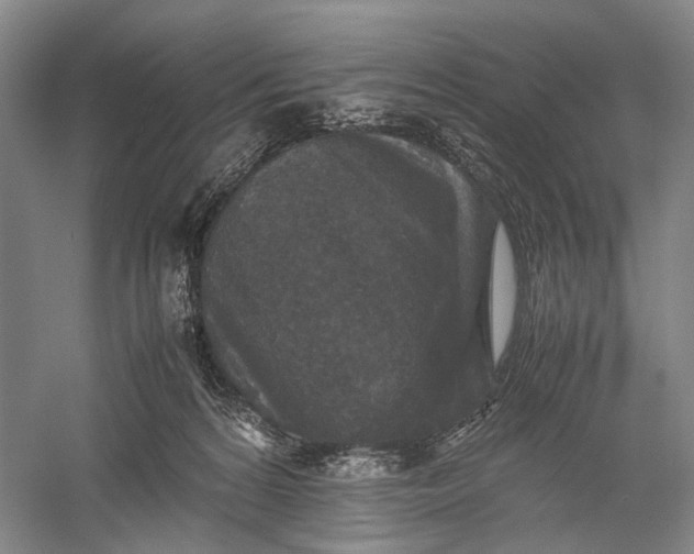 X0000060550224200511171547