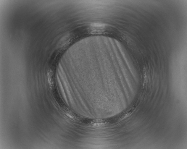 X0000060550228200511171547