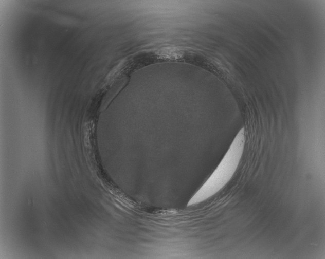 X0000060550229200511171547