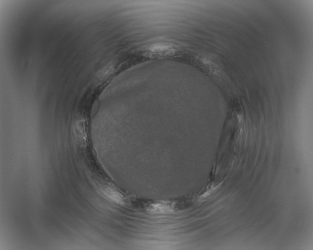 X0000060550232200511171547