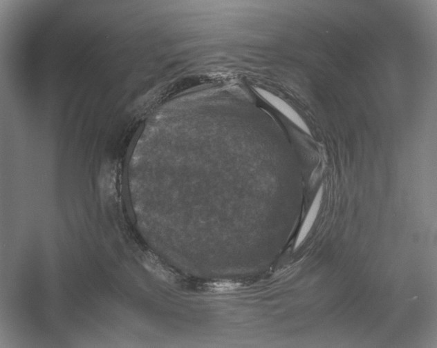 X0000060550233200511171547