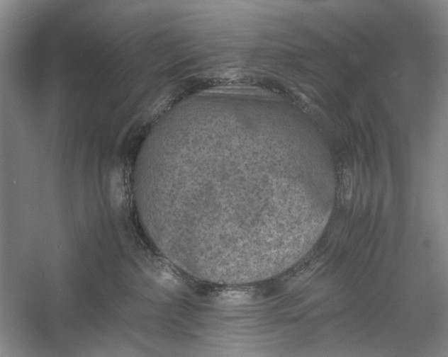 X0000060550236200511171547