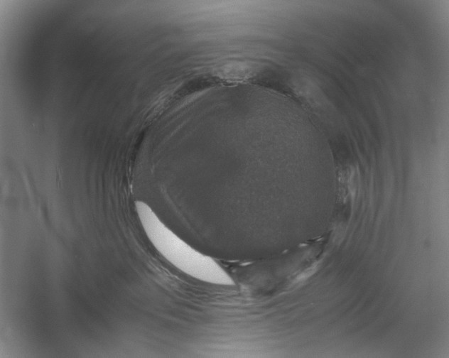 X0000060550237200511171547