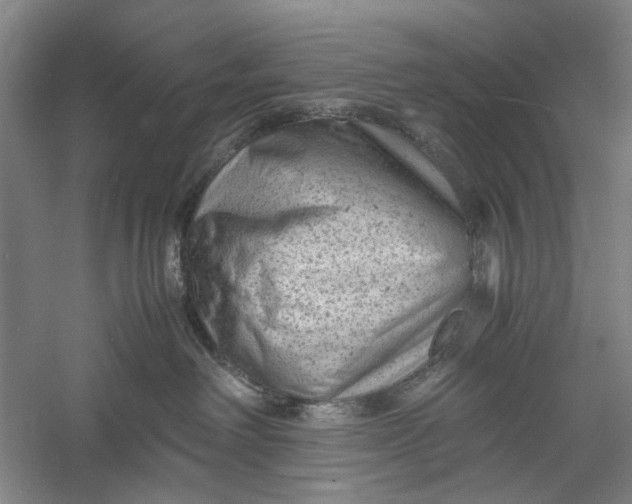 X0000060550238200511171547