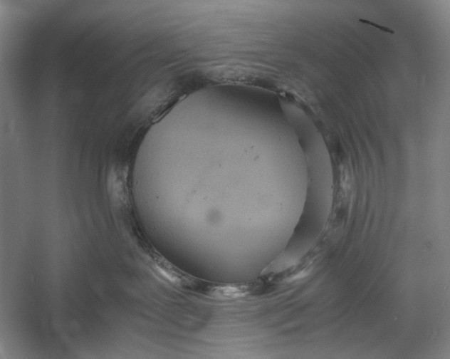 X0000060550239200511171547