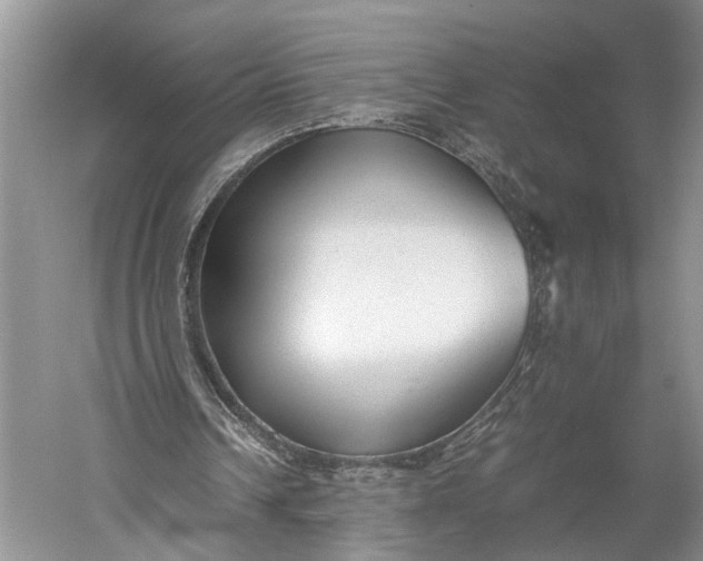 X0000060550242200511171546