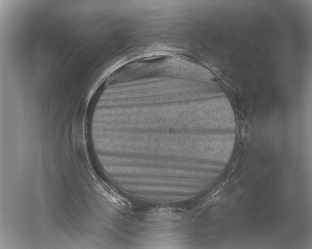 X0000060550244200511171546