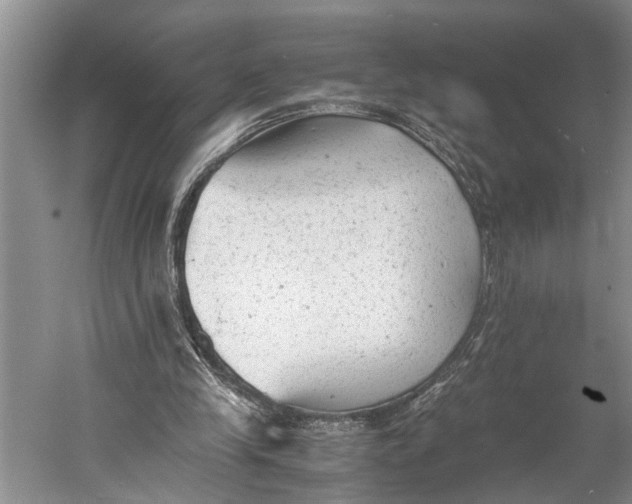 X0000060550245200511171546