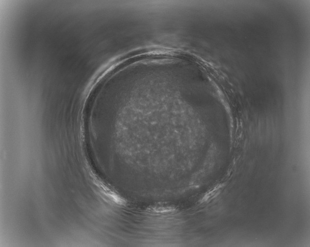 X0000060550247200511171546