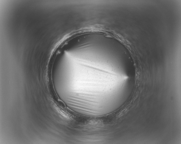 X0000060550248200511171546