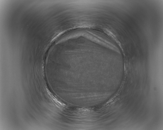 X0000060550249200511171546