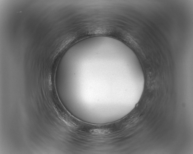 X0000060550251200511171546