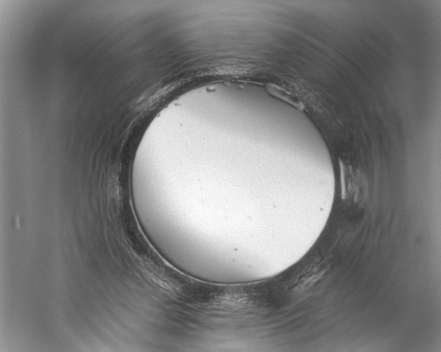 X0000060550252200511171546