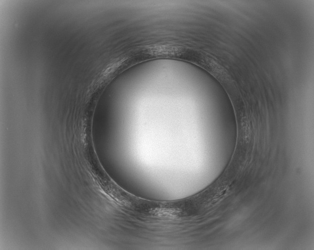 X0000060550255200511171546