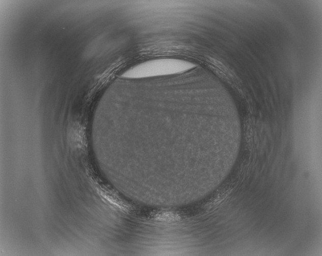 X0000060550258200511171546