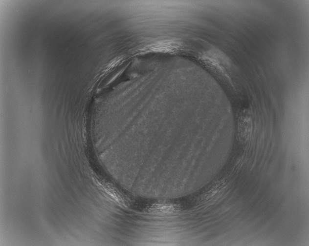 X0000060550260200511171546