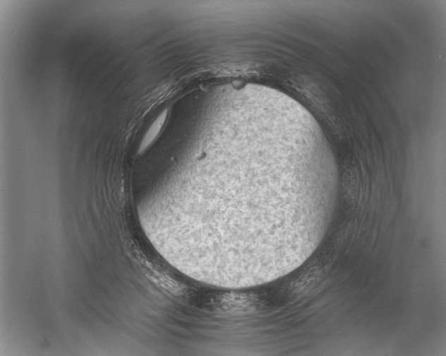 X0000060550261200511171546