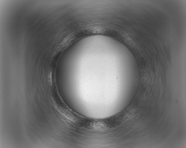 X0000060550262200511171546