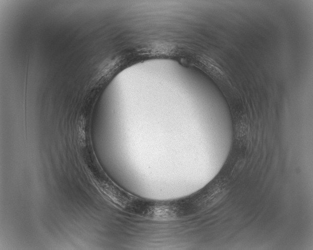 X0000060550264200511171546