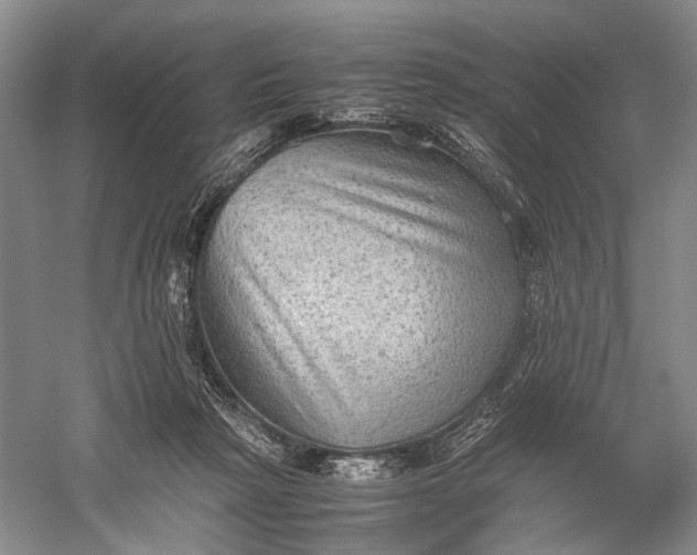 X0000060550265200511171546