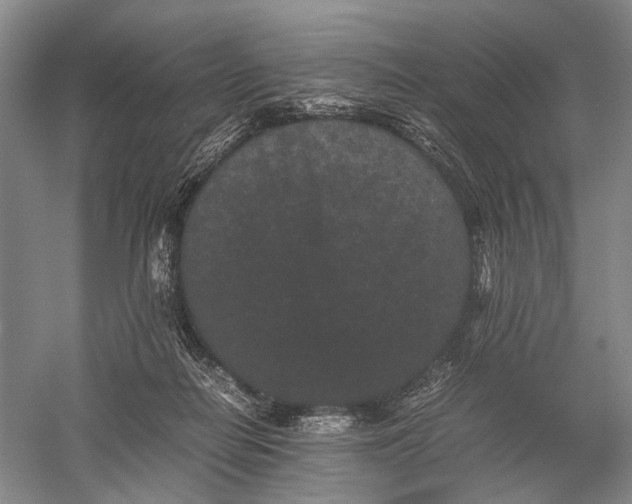 X0000060550266200511171546