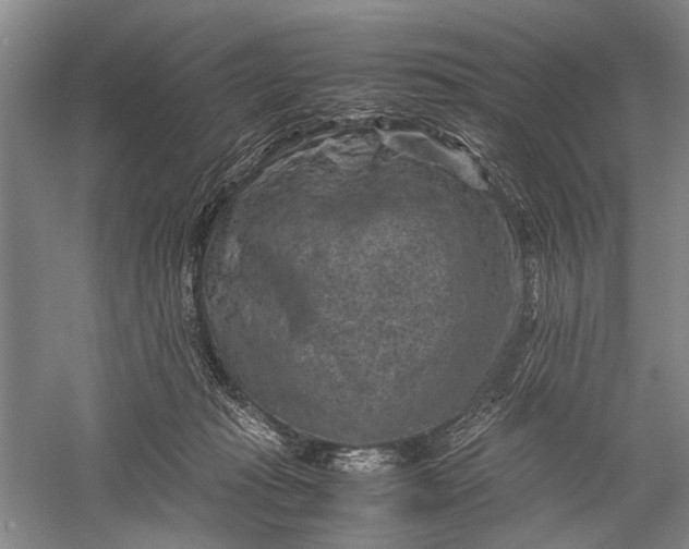 X0000060550269200511171546