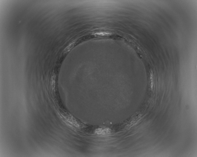 X0000060550271200511171546