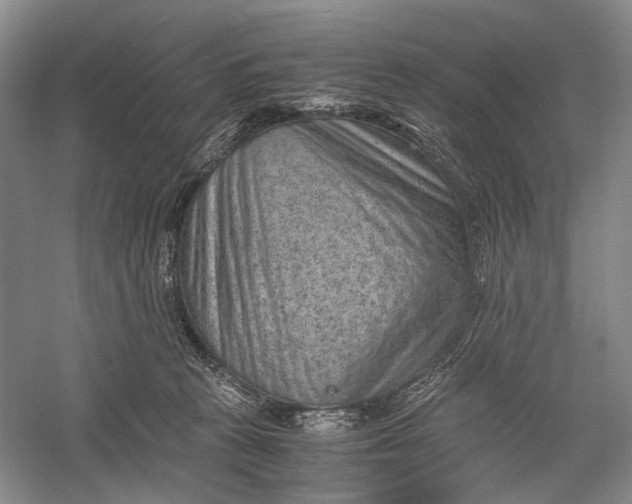 X0000060550273200511171546