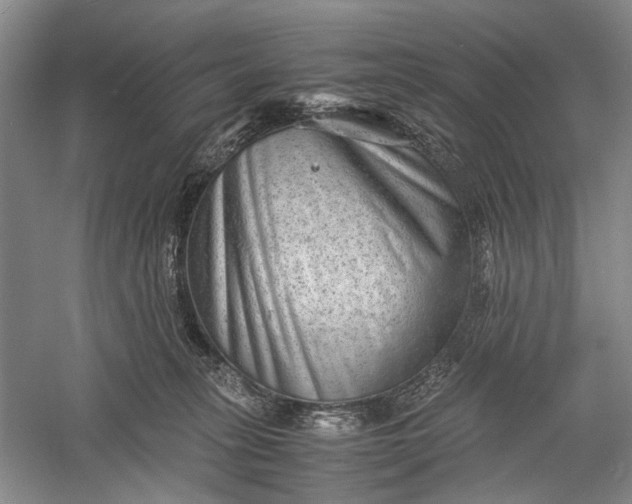 X0000060550275200511171546