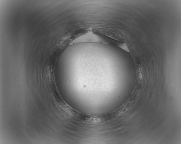 X0000060550276200511171546