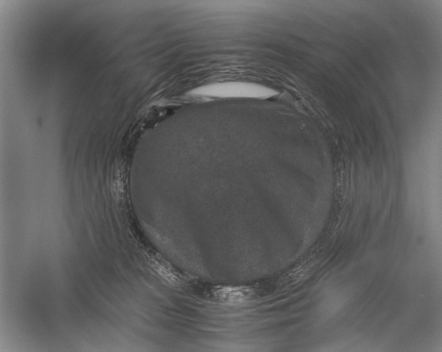 X0000060550277200511171546