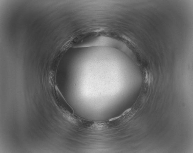 X0000060550280200511171547