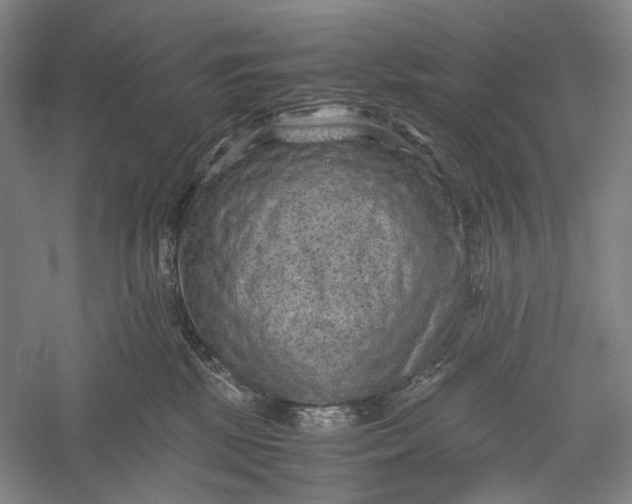 X0000060550281200511171547