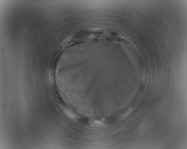 X0000060550285200511171547