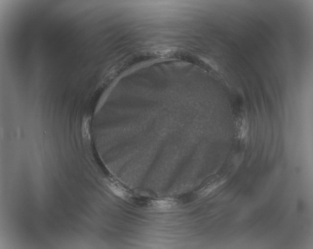 X0000060550286200511171547