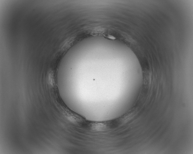 X0000060550287200511171547