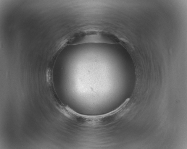 X0000060550288200511171547