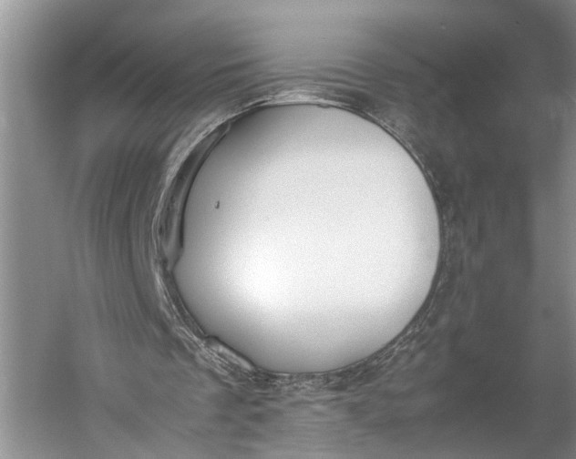 X0000060550289200511171546