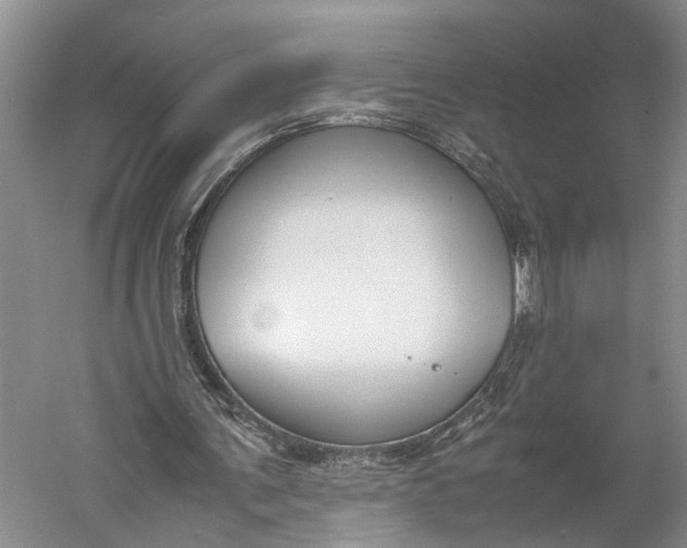 X0000060550291200511171546