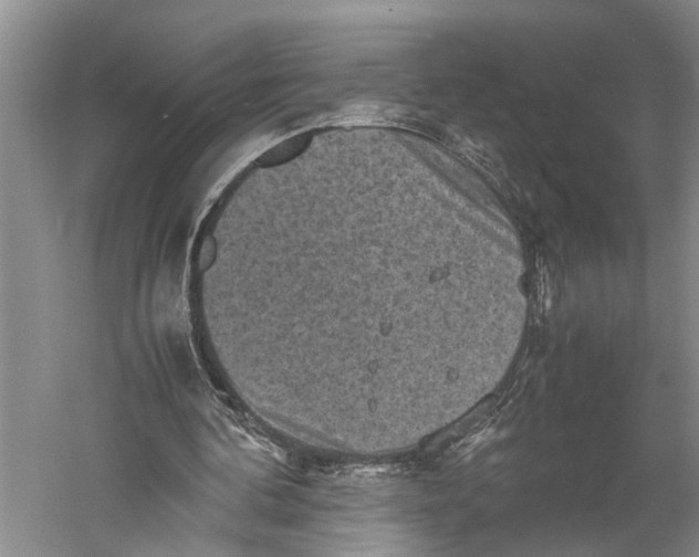 X0000060550292200511171546