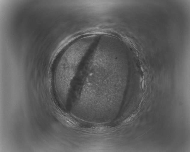 X0000060550295200511171546