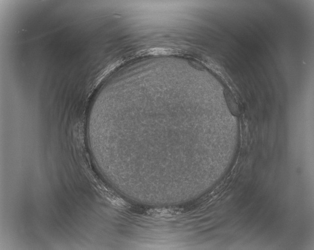 X0000060550297200511171546