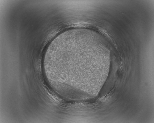 X0000060550299200511171546