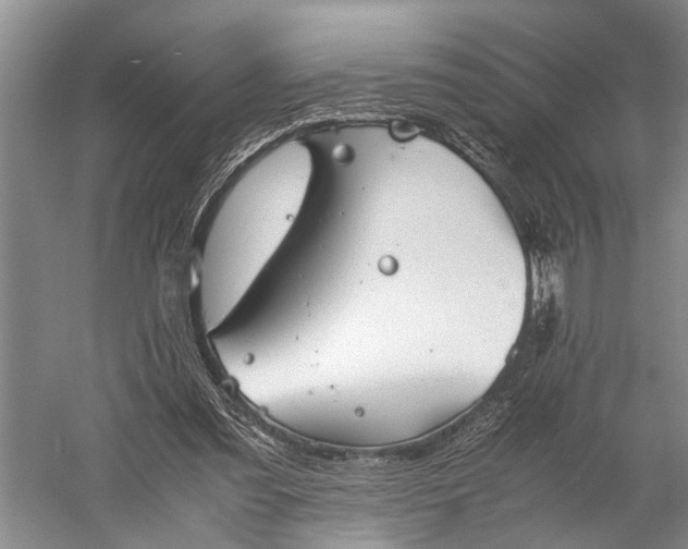 X0000060550301200511171546