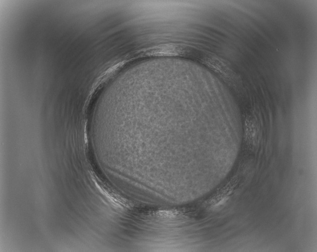 X0000060550302200511171546